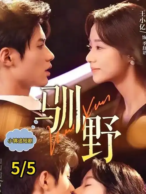 电视剧夜航西飞在线观看
